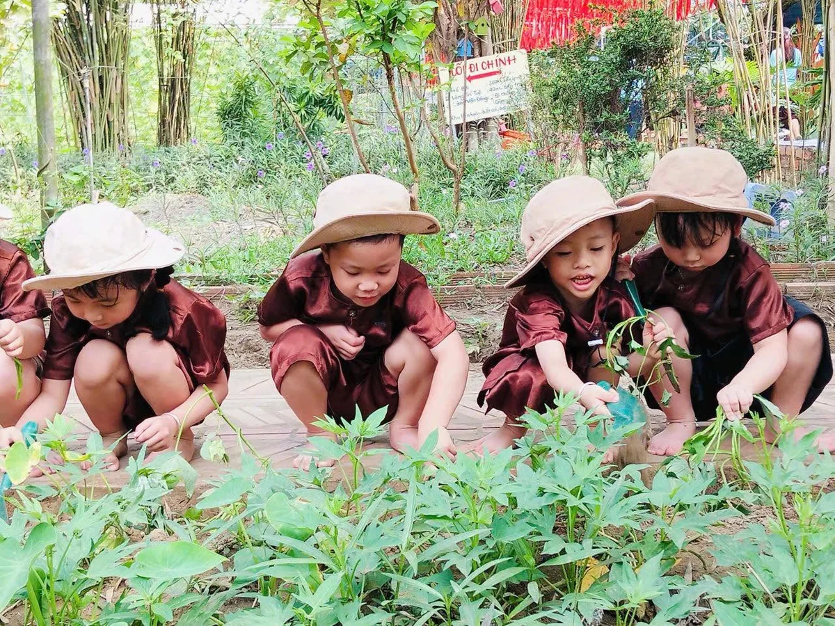 Happy Farm Green Excursion